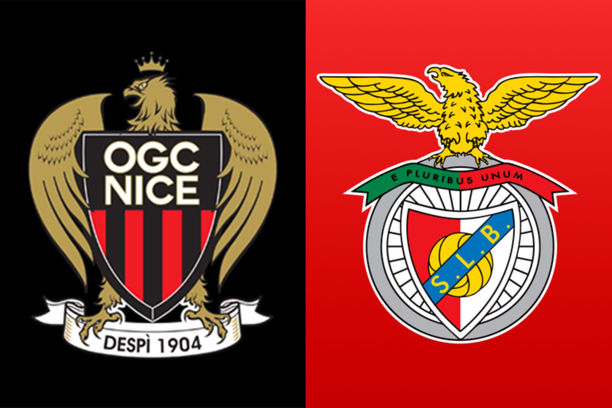 L&rsquo;OGC Nice en LDC : doit on y croire ?