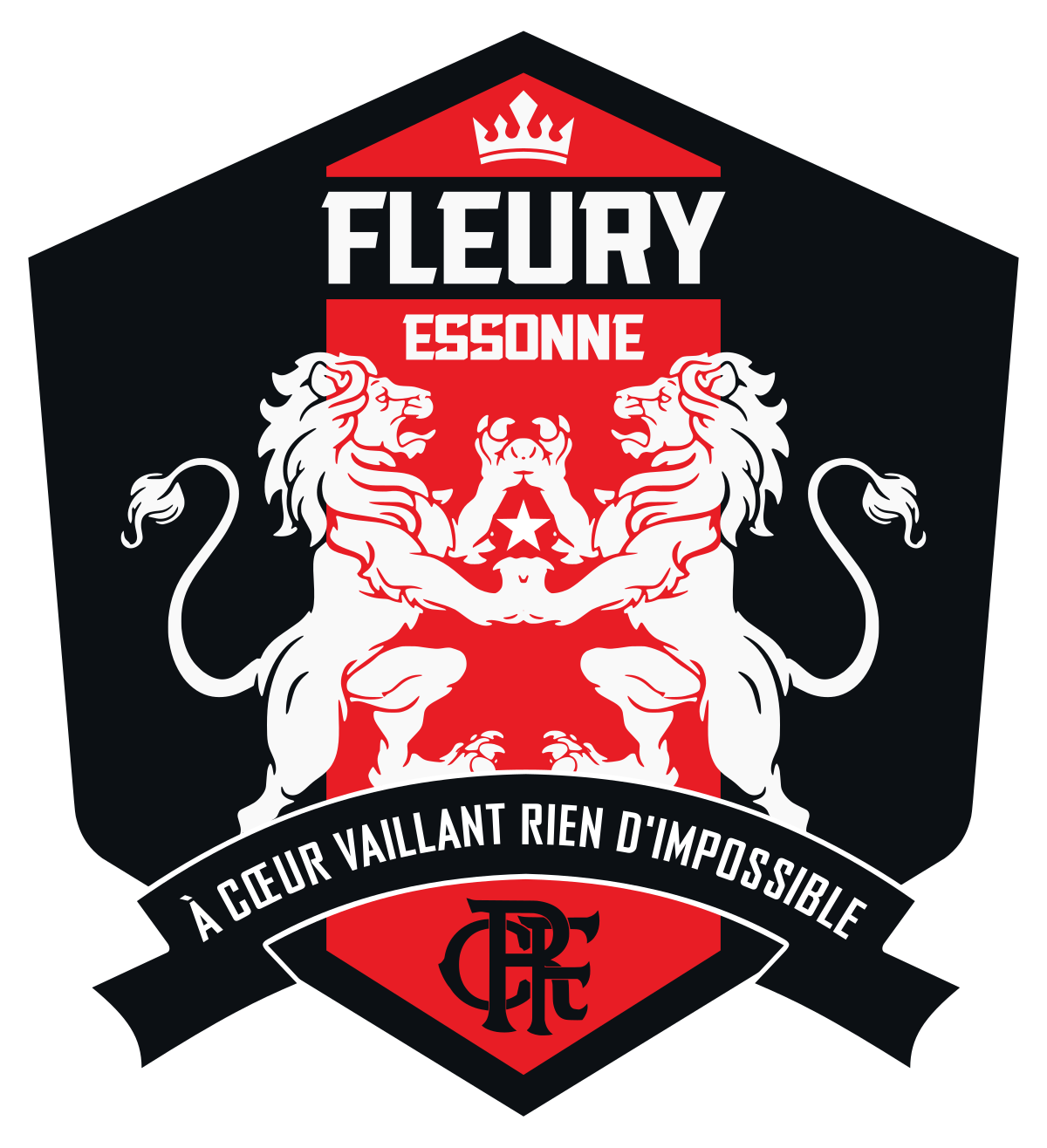 Logo FLEURY 91 FC